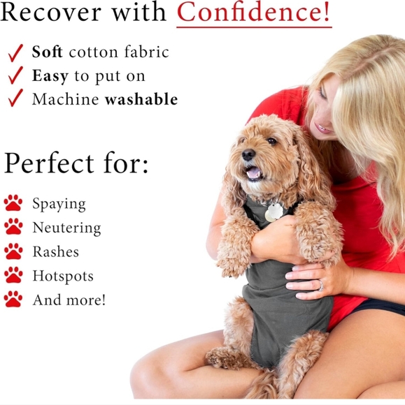 BellyGuard Dog Recovery Suit - Picture 3 of 5